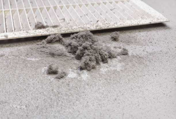 Best Air Duct Cleaning Near Me  in Verandah, FL