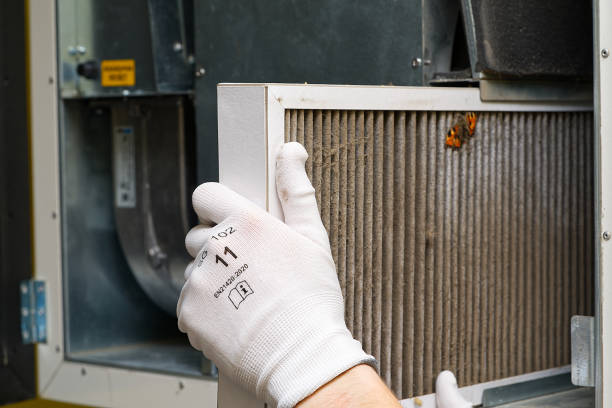 Best Dryer Vent Cleaning Services  in Verandah, FL